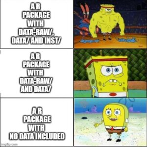 Beyond Functions: How to Enrich an R Package with Data - Rtask